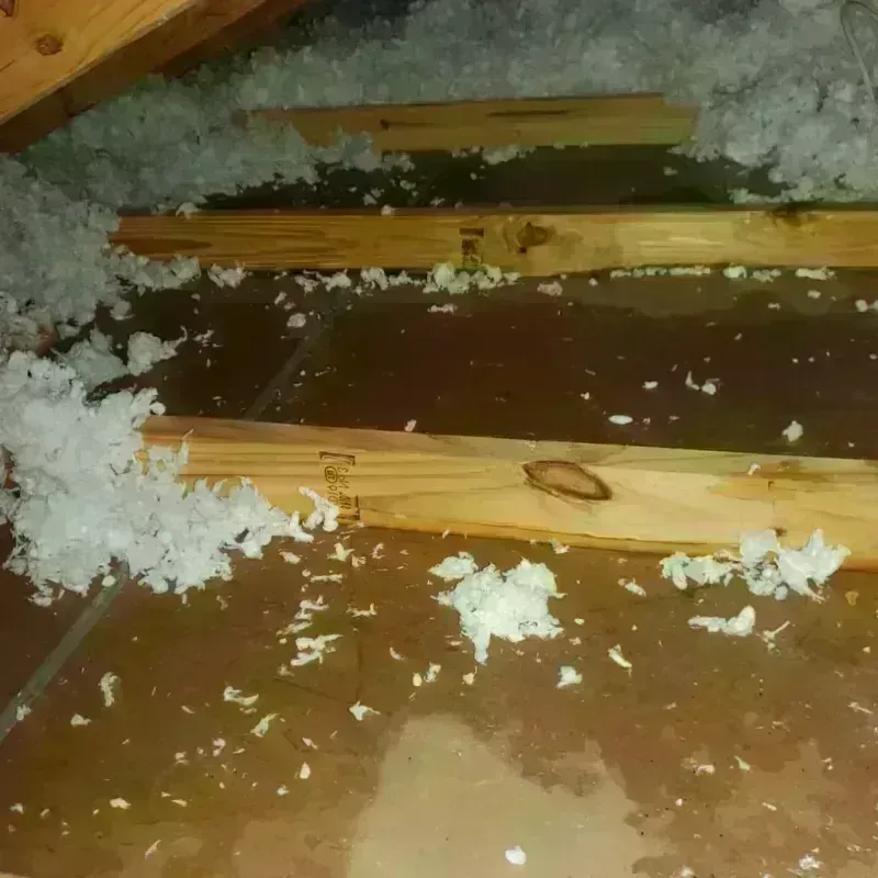 Attic Water Damage in Oglala Lakota County, SD