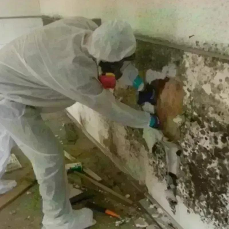 Mold Remediation and Removal in Oglala Lakota County, SD