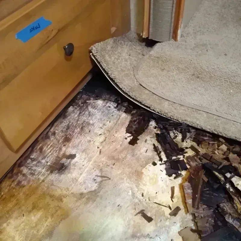 Wood Floor Water Damage in Oglala Lakota County, SD